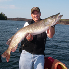 Northern Pike Photo